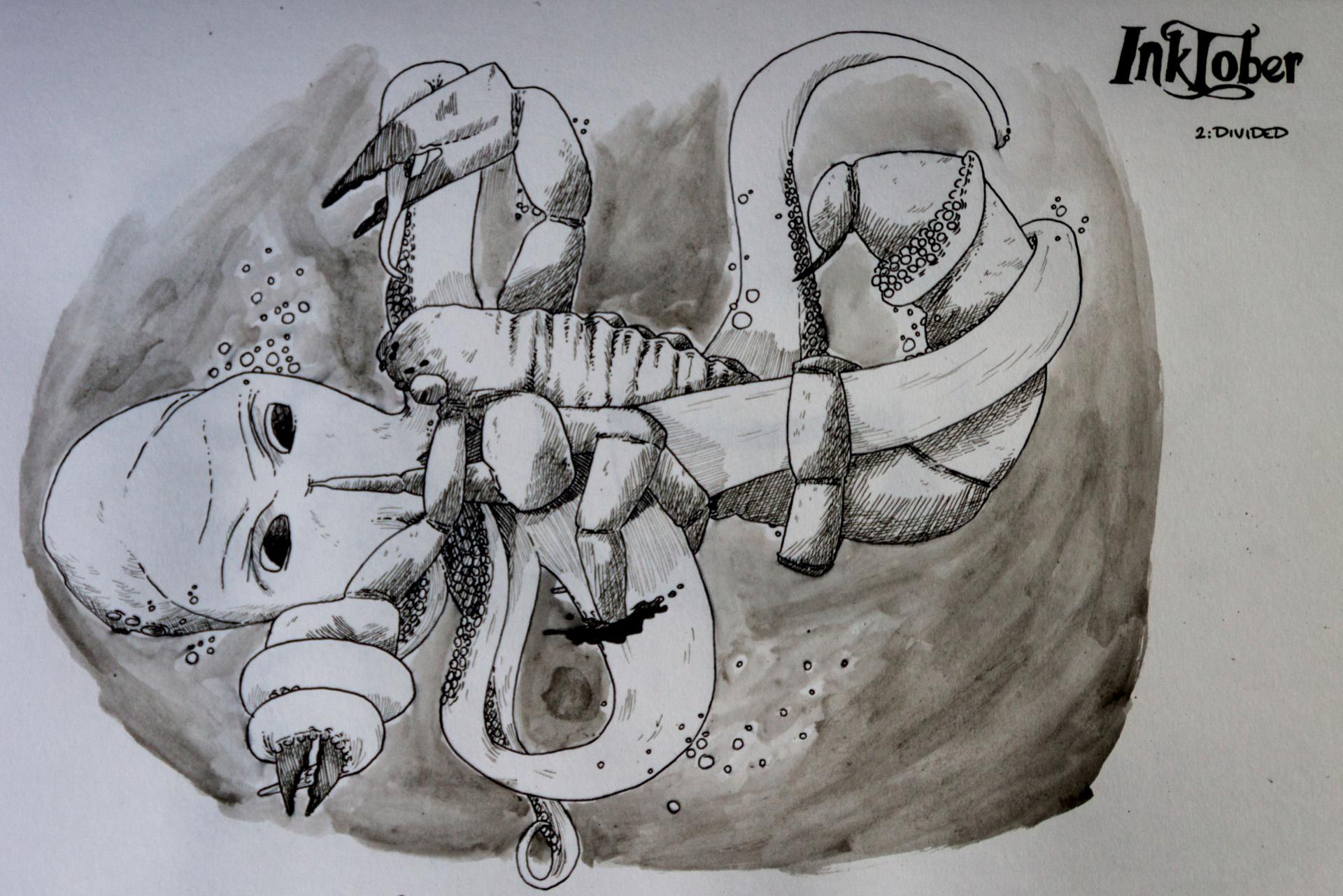Ink2 divided 1