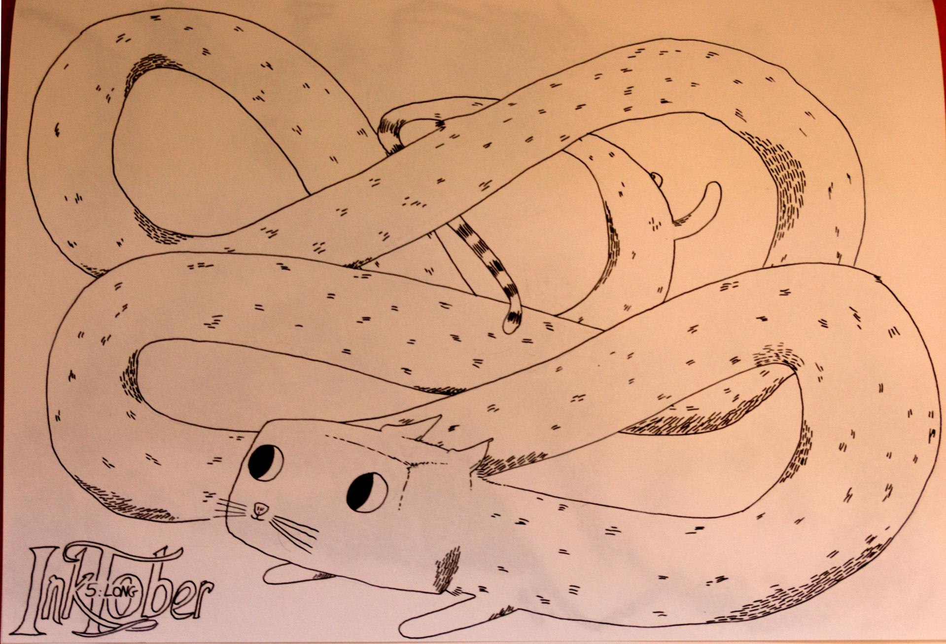 Ink5 long