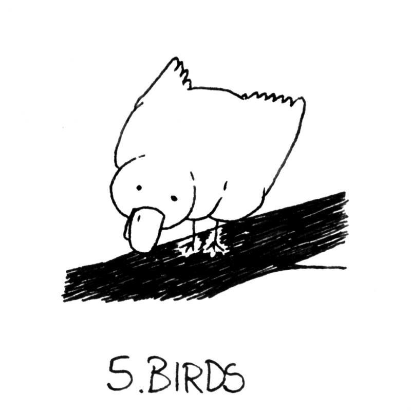 Ink5